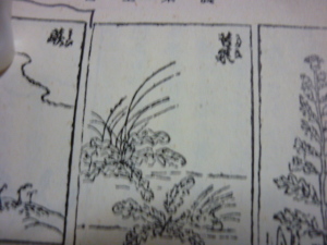 160220_農業全書
